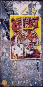 Mimmo Rotella